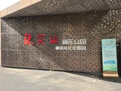 -陈家山荷花公园