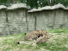 -北京野生动物园