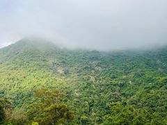 -梧桐山风景名胜区