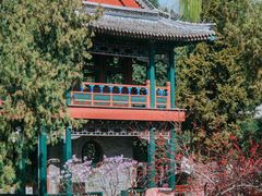 -莲池书院博物馆