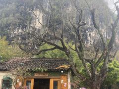 -村上春树