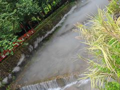 -广州白江湖森林公园