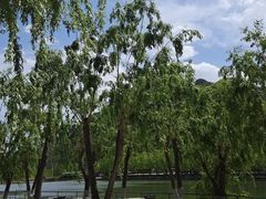 -十渡东湖港风景区