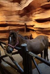 点击看大图 -酷嗒动物文化乐园(cutezoo西溪乐天城店)