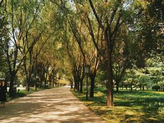 -唐城墙遗址公园