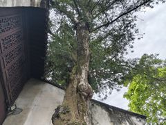-观潮胜地公园