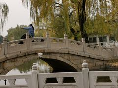 -丰台花园