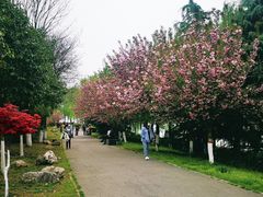 -西安汉城湖景区