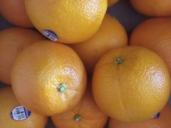 -上海龙吴水胜海发市场