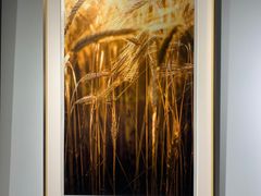 -星光摄影器材城