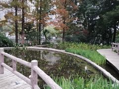 -成都市活水公园