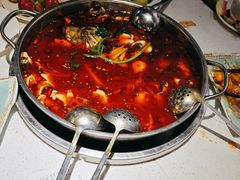 -蛙蛙鸡冷锅鱼(驷马桥店)