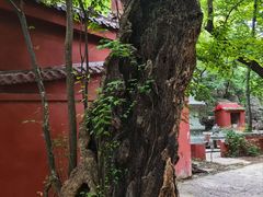 -天门寺
