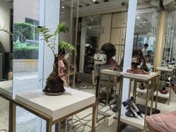 点击看大图 -菲·木田moontin造型salon