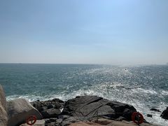 -广东惠东海龟国家级自然保护区