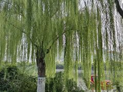 -南翠屏公园