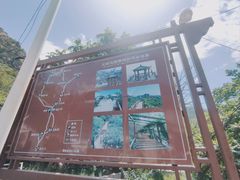 -大岭沟猕猴桃谷风景区