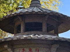 -玲珑塔公园