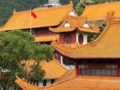 -深圳仙湖植物园