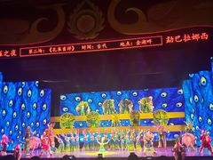 -西双版纳原始森林公园
