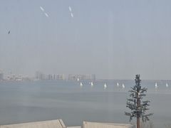 -朵云书院(滴水湖店)
