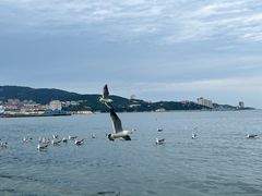 -海源公园