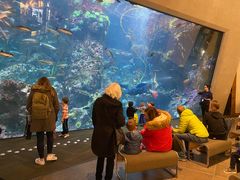 -西雅图水族馆