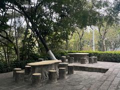 -仙岳公园