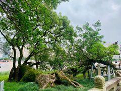 -江心屿景区