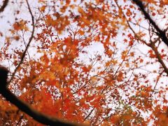 -桂林公园(地铁站)