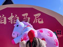 -少华山国家森林公园