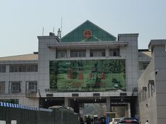 -打洛口岸