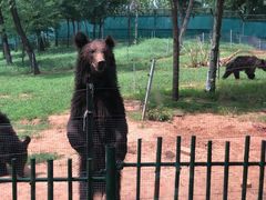 -秦皇岛野生动物园