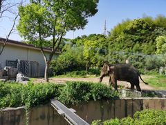 -宁波野生动物园