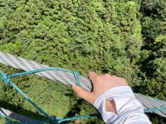 -遂昌金矿国家矿山公园