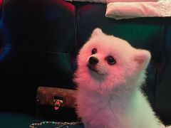 -凡花主题KTV(天虹店)