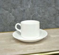 水杯-INS羽毛接发·巴黎画染