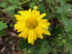 -长辛店二七公园