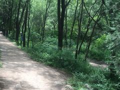 -碓臼峪自然风景区