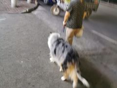 -明记海鲜美食老字号(明记总店)