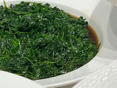 -圆苑(静安寺店)