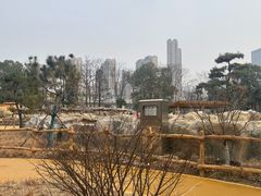 -武汉动物园