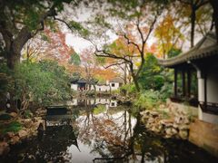-秋霞圃