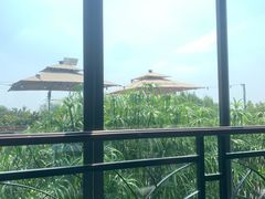 -蘇河湾·新鲁菜·泰山宴(泰山店)