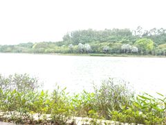 -南国桃园旅游度假区