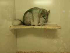 -龙猫仔乐园(惠福东路店)