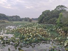 -艾溪湖湿地公园