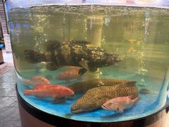 -琼菜人家·海南菜·文昌鸡(文昌大道店)