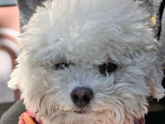 -星巴克臻选(南京金茂览秀城店)