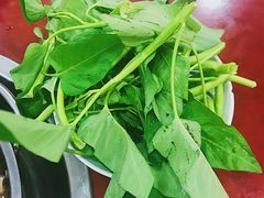 -胖娃古镇鸡杂(磁器口总店)